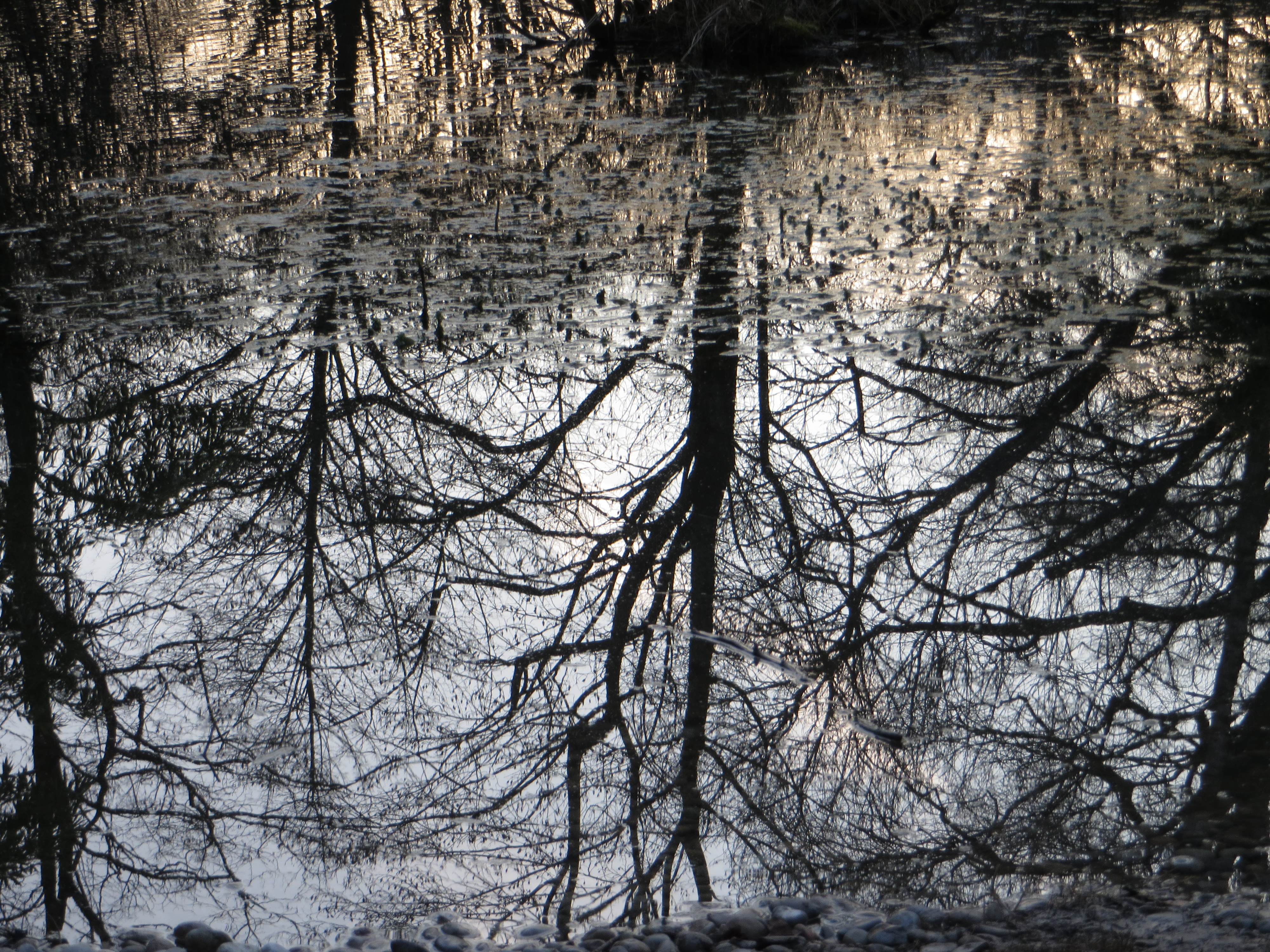 Reflections